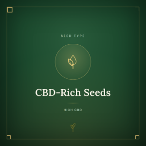 CBD-Rich Seeds