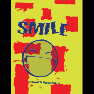 Smile Herbal Incense 3g Pack Premium Aromatic Potpourri